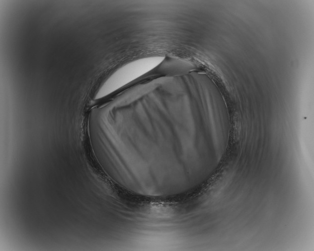 X0000088850641200707061033