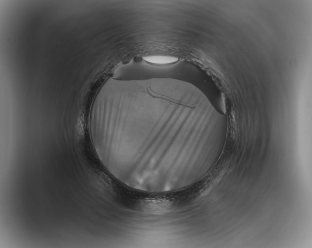X0000088850644200707061034