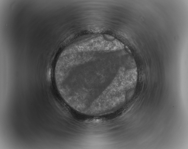 X0000088850647200707061034