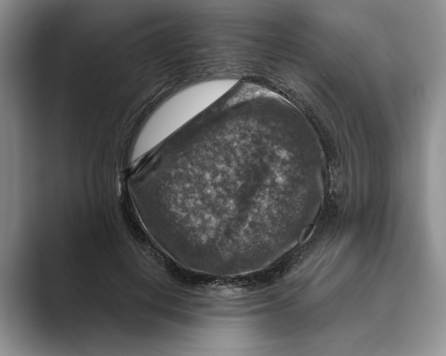 X0000088850648200707061034