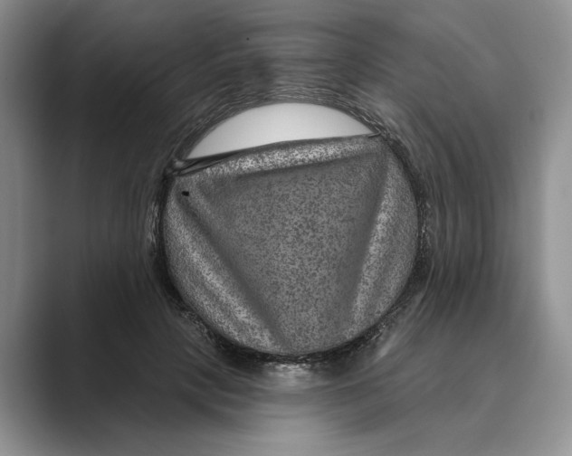 X0000088850649200707061034