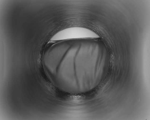 X0000088850650200707061034