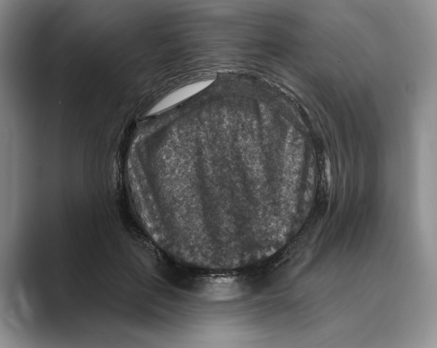 X0000088850651200707061034
