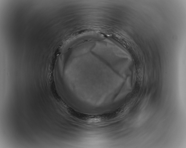 X0000088850653200707061034