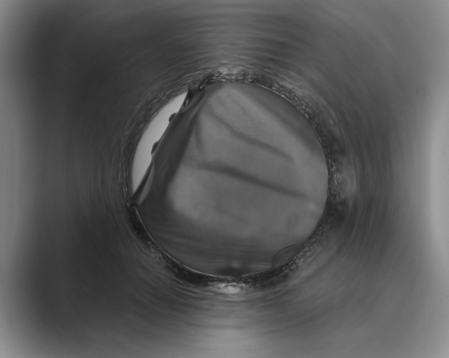 X0000088850654200707061034