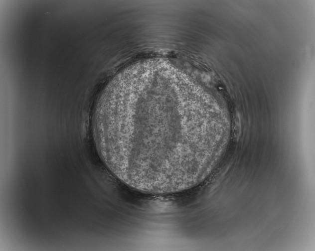 X0000088850656200707061034