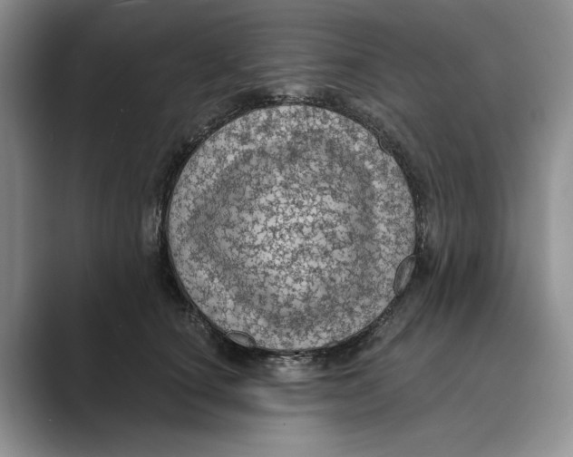 X0000088850660200707061034