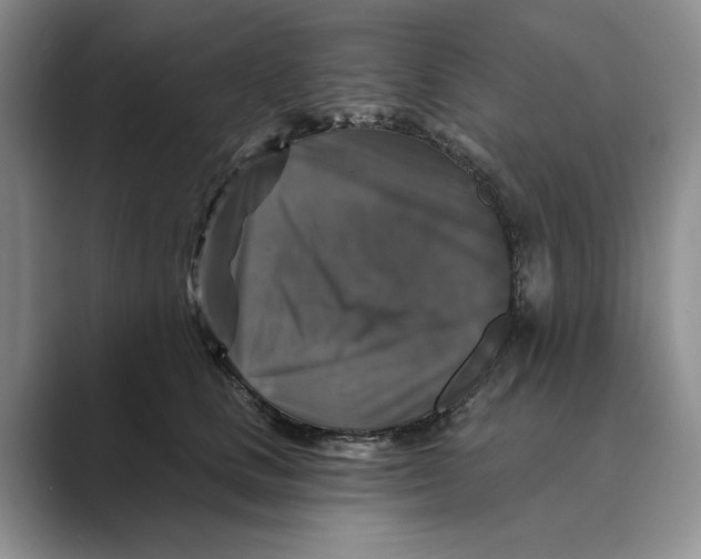 X0000088850661200707061034