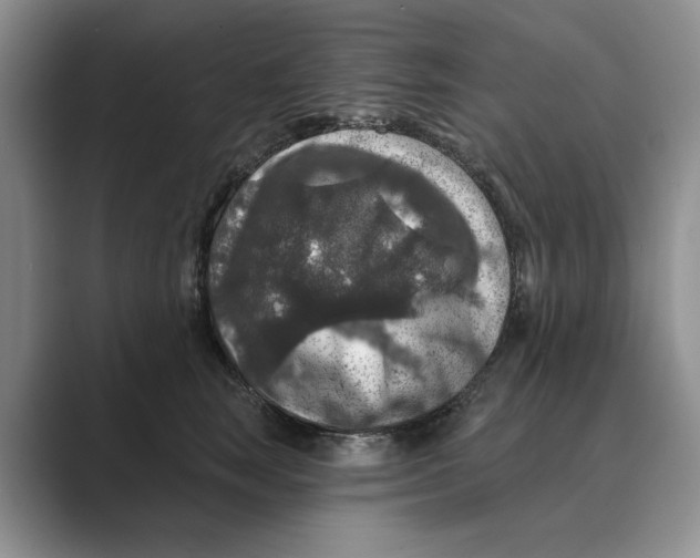 X0000088850663200707061034