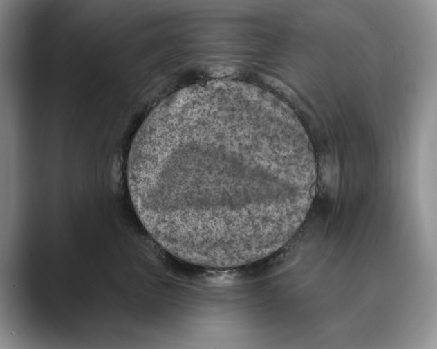 X0000088850667200707061034