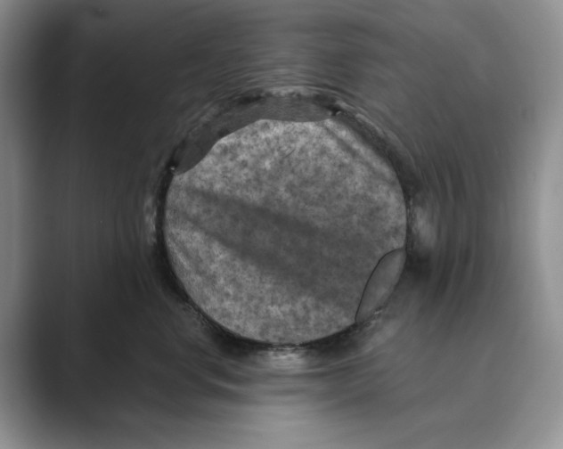 X0000088850668200707061034