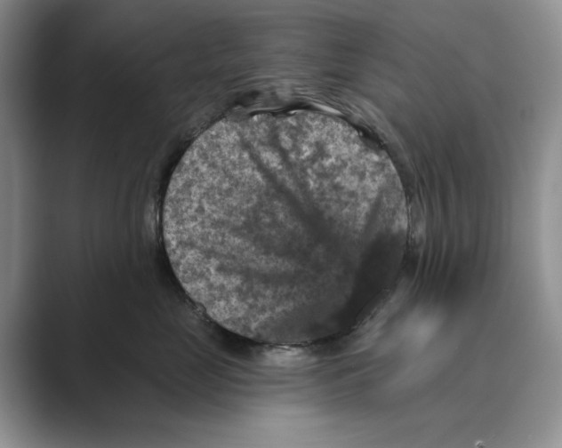 X0000088850669200707061034