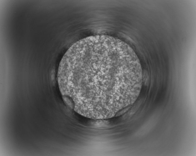 X0000088850670200707061034