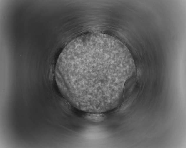 X0000088850671200707061034