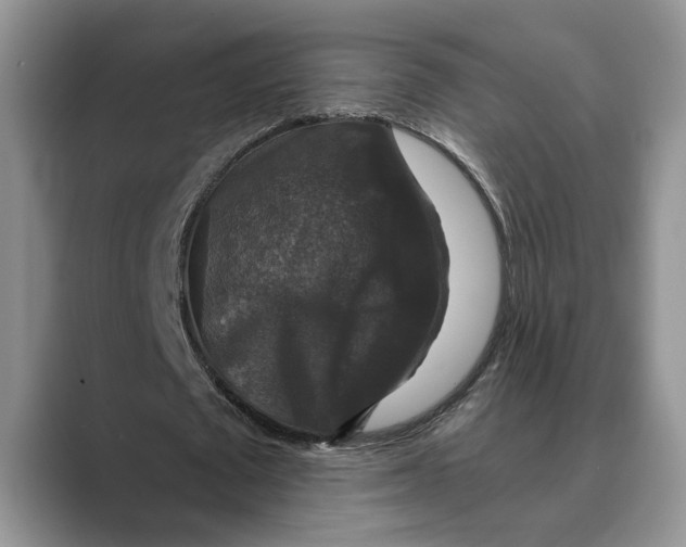 X0000088850673200707061033