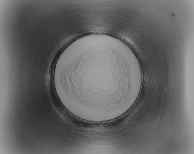 X0000088850674200707061033