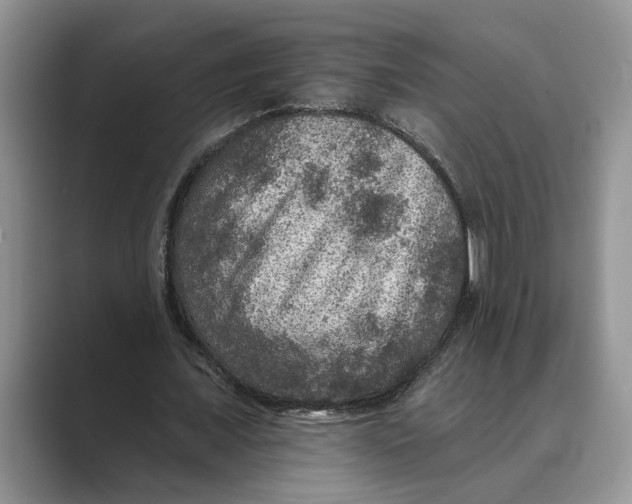 X0000088850675200707061033