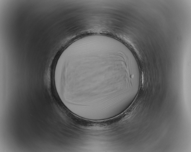 X0000088850678200707061033