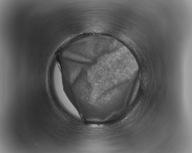 X0000088850680200707061033