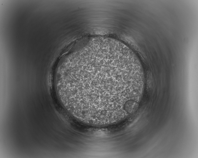 X0000088850683200707061033