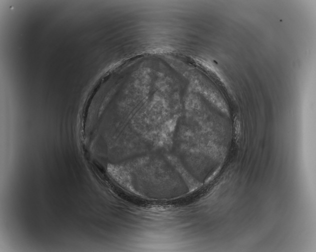 X0000088850684200707061033
