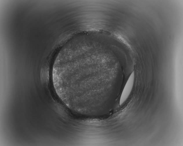 X0000088850685200707061033