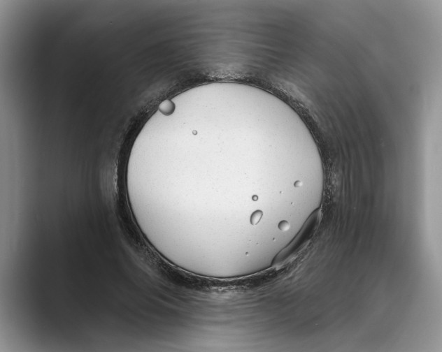 X0000088850686200707061033