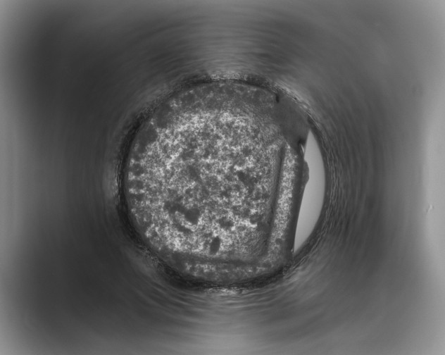 X0000088850687200707061033