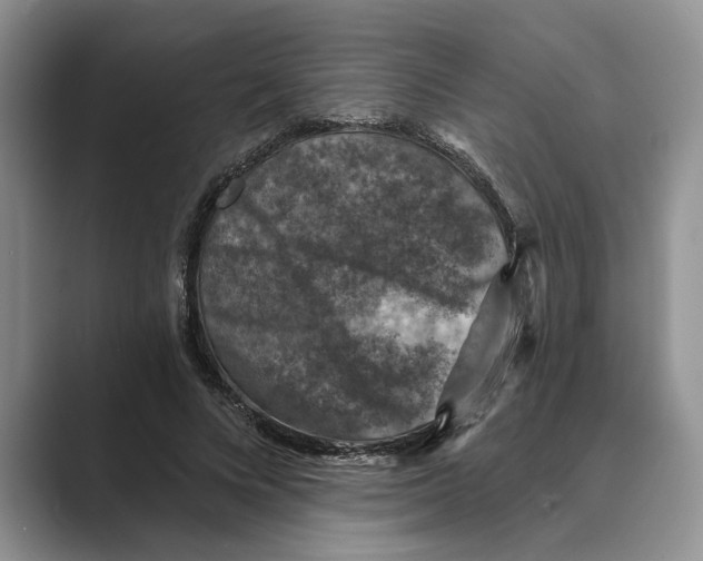 X0000088850688200707061033