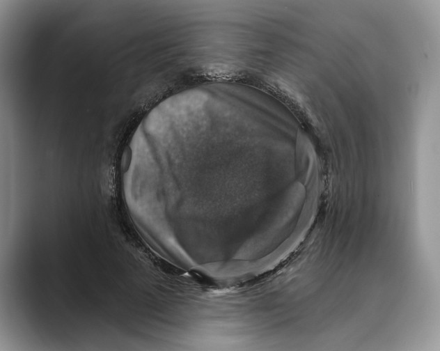 X0000088850689200707061033