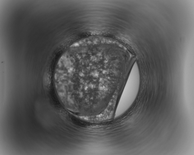 X0000088850691200707061033