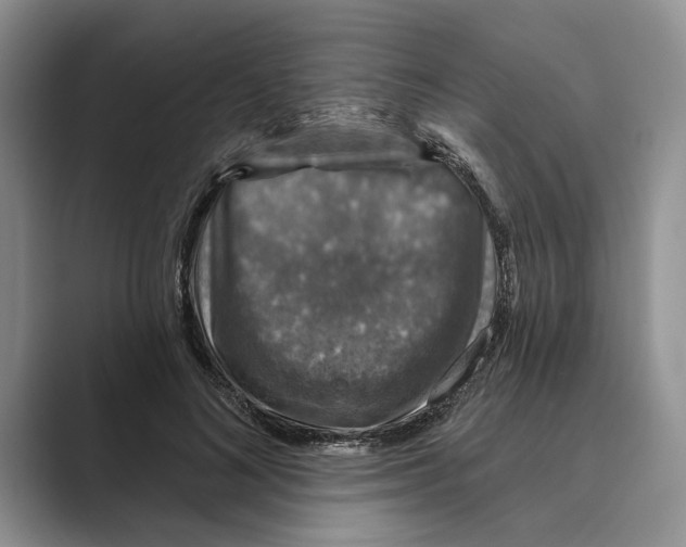 X0000088850692200707061033