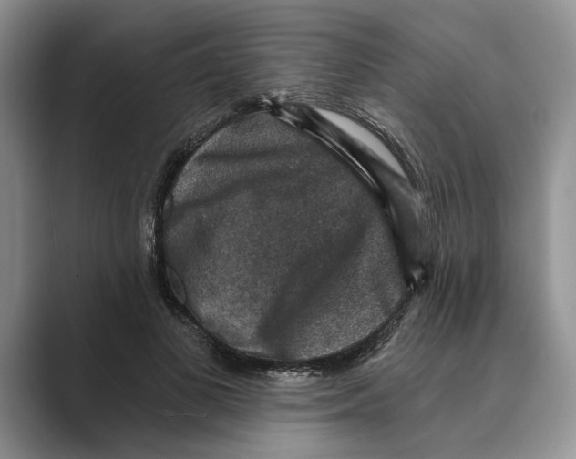 X0000088850693200707061033
