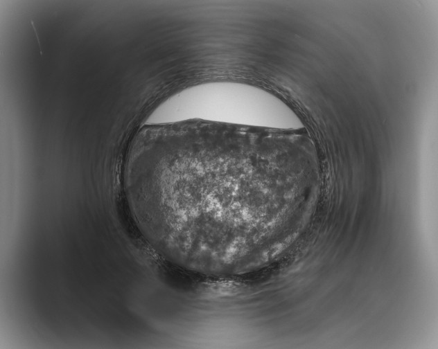 X0000088850695200707061033