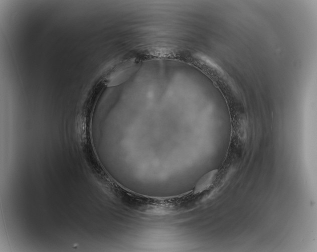 X0000088850696200707061033