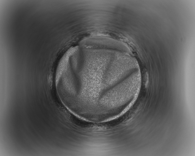 X0000088850697200707061033