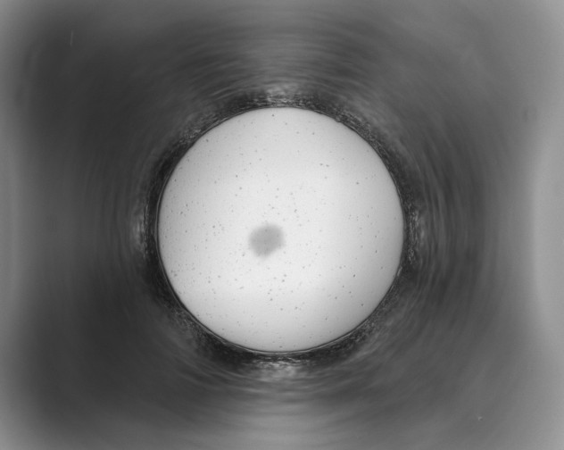 X0000088850698200707061033