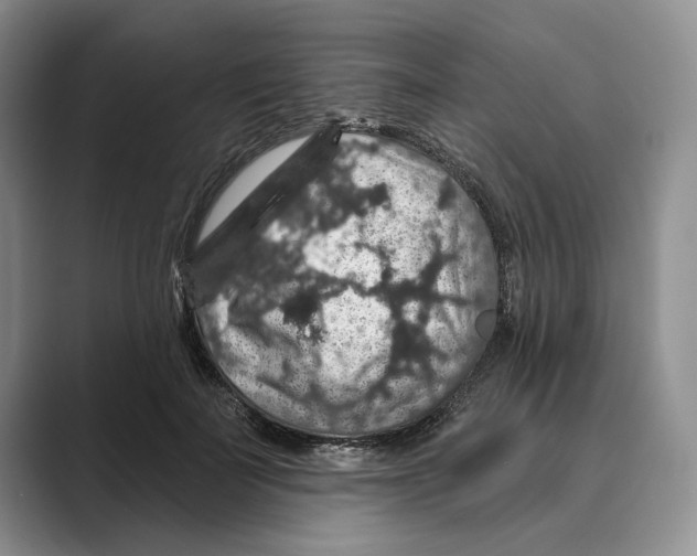 X0000088850699200707061033
