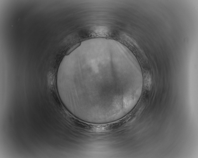 X0000088850701200707061033