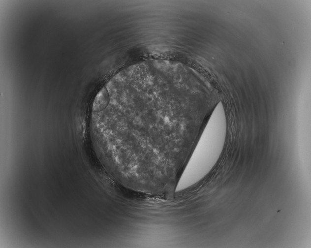 X0000088850703200707061033