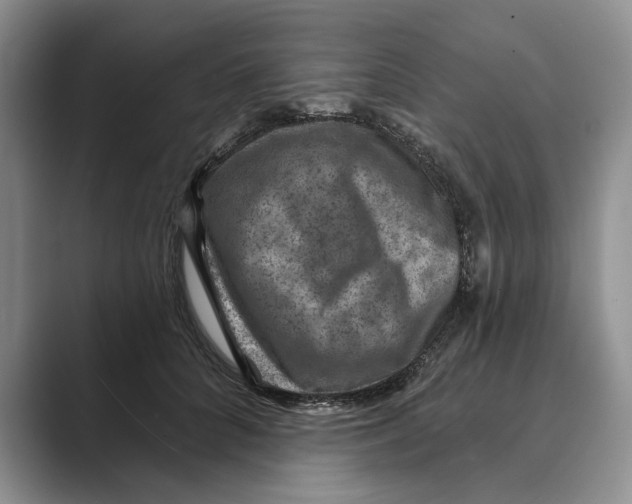 X0000088850704200707061033