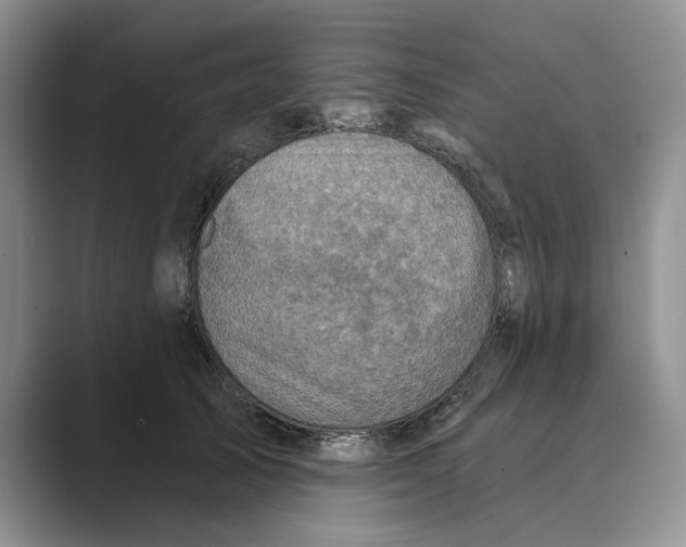X0000088850705200707061033