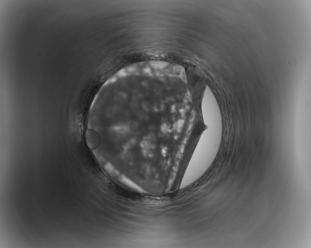 X0000088850707200707061033