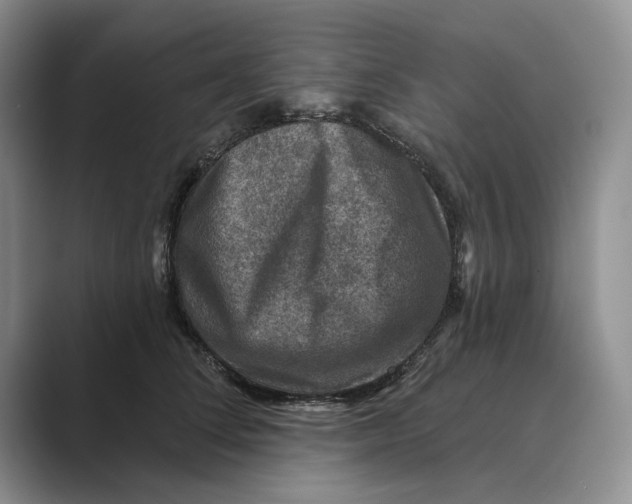 X0000088850708200707061033