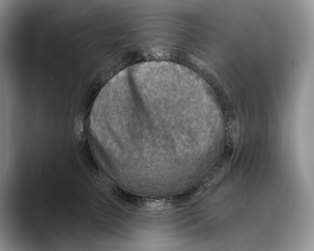 X0000088850709200707061033