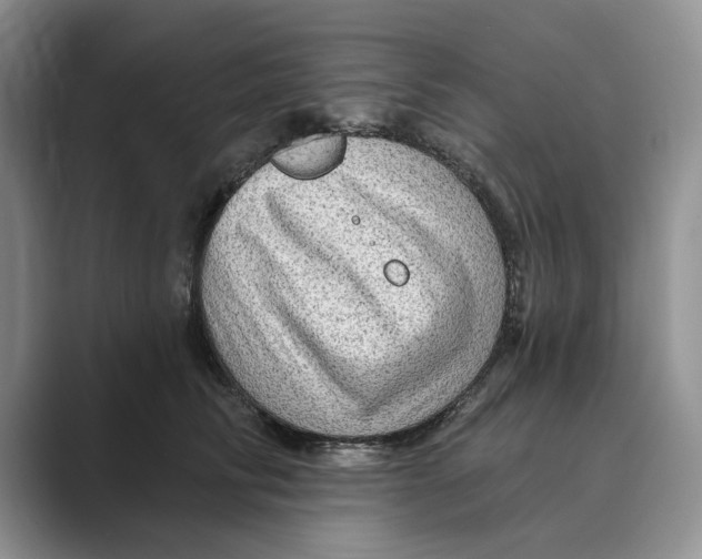 X0000088850710200707061033