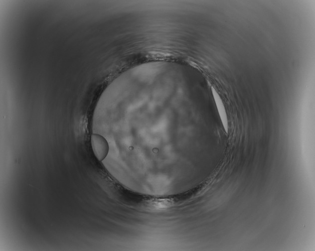X0000088850711200707061033