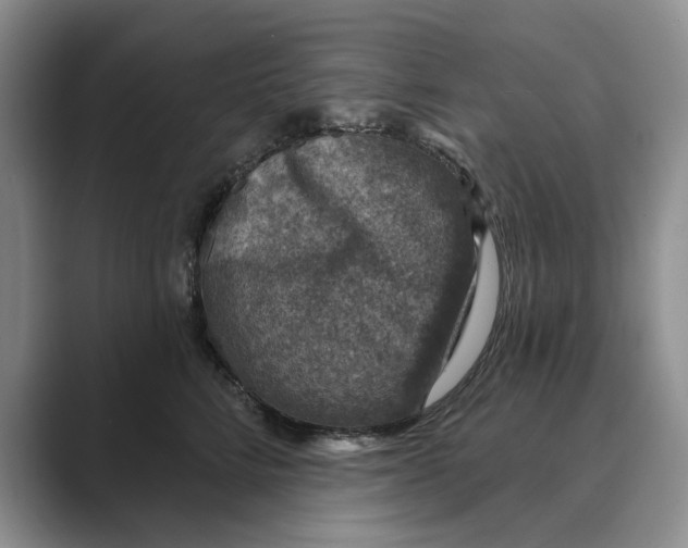 X0000088850712200707061033