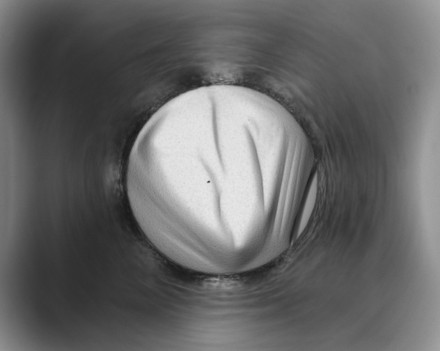 X0000088850714200707061033