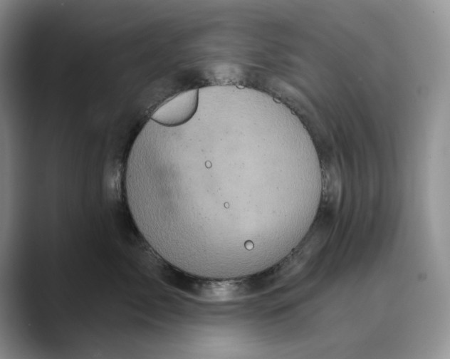 X0000088850717200707061033